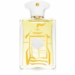 Beach Hut Eau de Parfum pour homme 100 ml