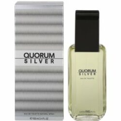 Quorum Silver Eau de Toilette pour homme 100 ml