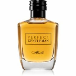 Perfect Gentleman  Absolu Eau de Parfum pour homme 100 ml