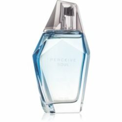 Perceive Soul Eau de Toilette pour homme 100 ml