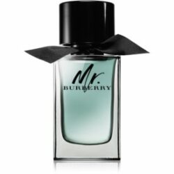 Mr. Burberry Eau de Toilette pour homme 100 ml