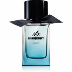 Mr. Burberry Element Eau de Toilette pour homme 100 ml