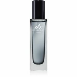 Mr. Burberry Indigo Eau de Toilette pour homme 30 ml