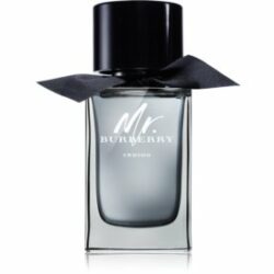 Mr. Burberry Indigo Eau de Toilette pour homme 100 ml