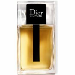 Dior Homme Eau de Toilette pour homme 100 ml