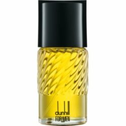 Dunhill for Men Eau de Toilette pour homme 100 ml