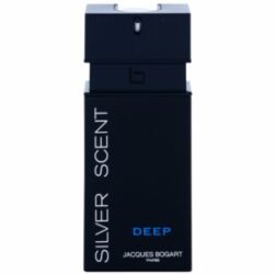 Silver Scent Deep Eau de Toilette pour homme 100 ml