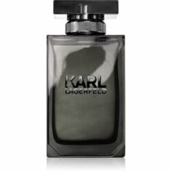 Karl Lagerfeld for Him Eau de Toilette pour homme 100 ml