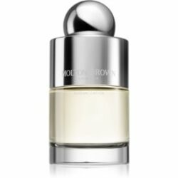 Russian Leather Eau de Toilette pour homme 100 ml