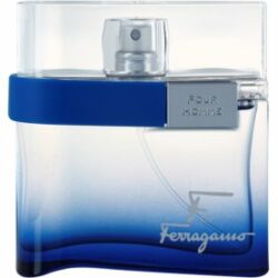 F by Ferragamo Free Time Eau de Toilette pour homme 50 ml