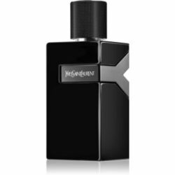 Y Le Parfum Eau de Parfum pour homme 100 ml