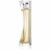 Provocative Woman Eau de Parfum pour femme 50 ml